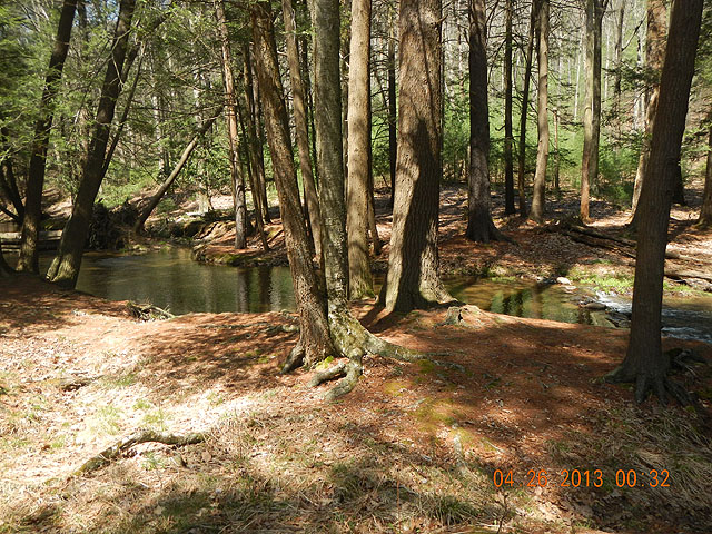 poe trip 04-26-2013 003.jpg -                                The stream behind the camper